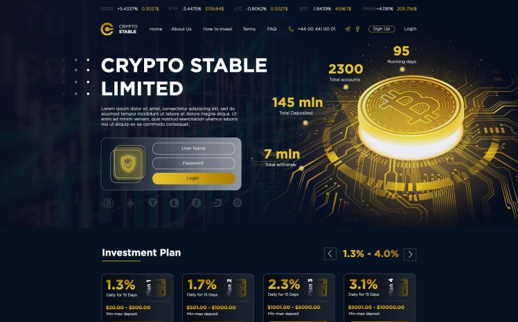 Crypto Stable