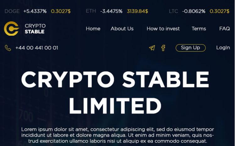 Crypto Stable